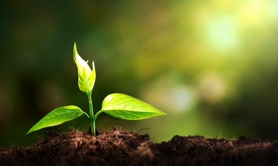 Green Initiatives Image