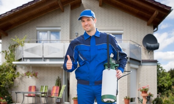 Pest Control Image